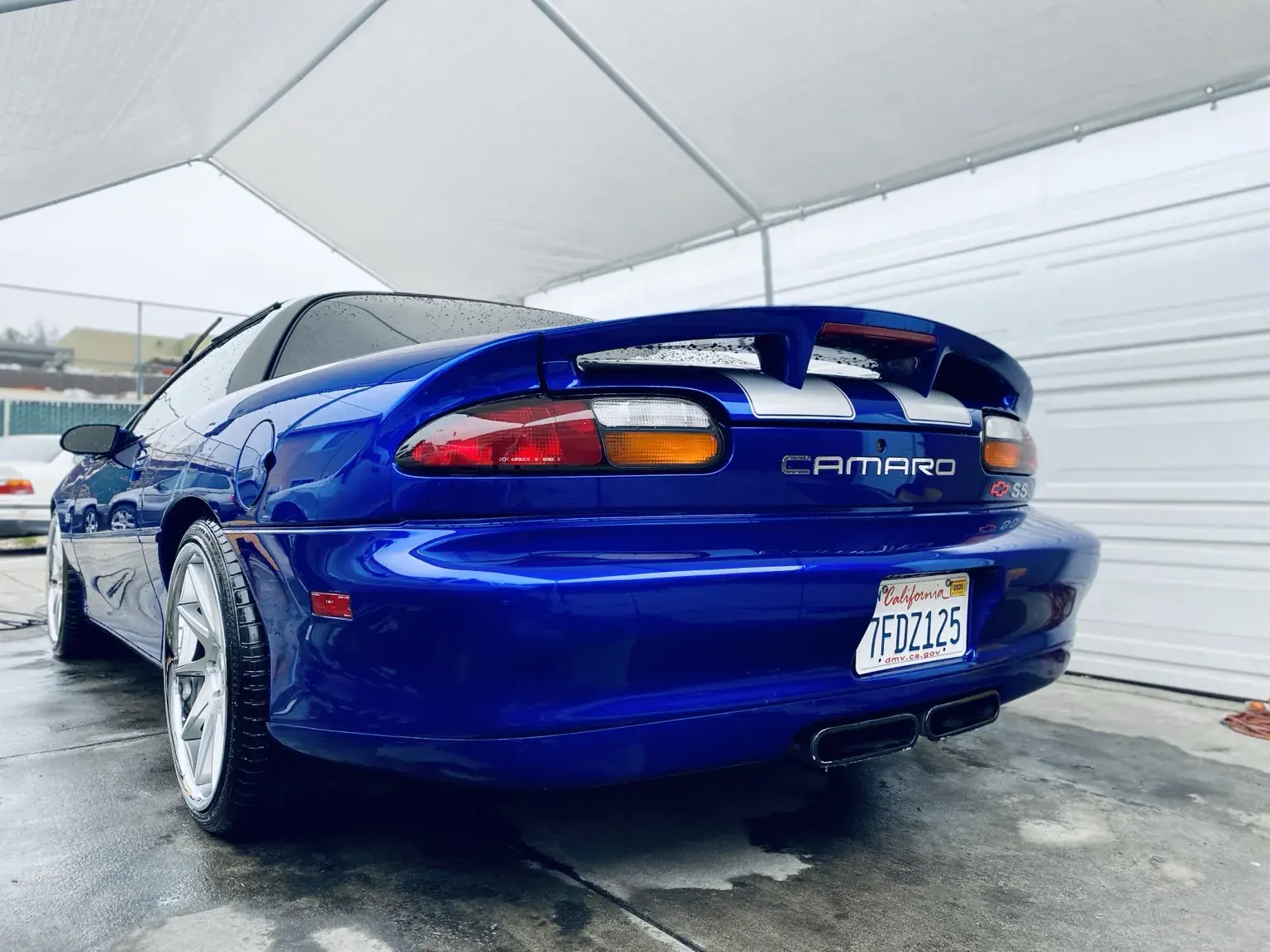 Detailed automotive finish after Hi-Caliber care